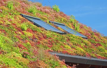 Whitley living roof systems