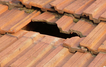 roof repair Whitley